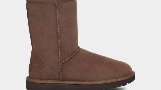 UGG Short Marron